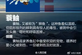 注意！警惕这些“隐形杀手”！图片