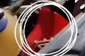 果然视频丨私家车装警报器，又鸣笛又喊话被警方查处图片