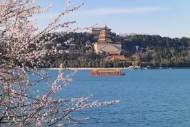 千万别错过 北京40余处踏青赏花经典片区等你来~图片