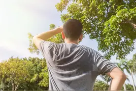 夏至三庚数头伏，今年哪天入伏？图片