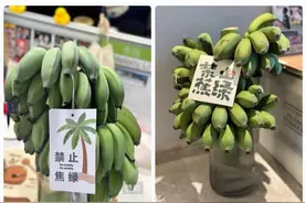 “我在工位种香蕉”：日销8万斤，这届打工人在养一种很新的上班搭子图片