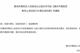 临街租金最高160元/月，惠阳发布集体土地征收补偿细则图片