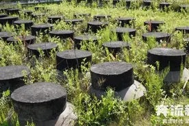 老人花近12万养老钱“种酒”，子女怀疑被骗！四川崇州市监局：买卖自愿图片