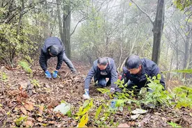 仁怀长岗镇：天麻种植让村民吃上“产业饭”图片