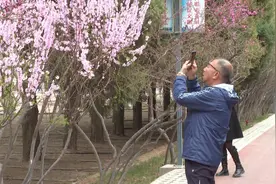 银川中山公园迎清明踏青潮 市民共享春日美景图片