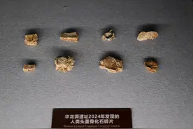 华龙洞！专家解读缘何东亚地区的最早古人类在这里图片