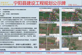 济枣高铁泰安宁阳段涉电110千伏电力线路改迁项目建设工程规划公示图片
