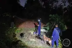 狗狗立大功！民警携警犬成功搜救失联老人图片