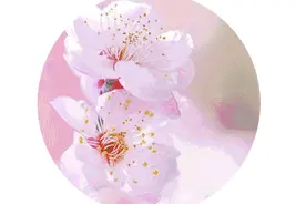 满“新”欢喜！舟山这个“宝藏地”等你来打卡~图片