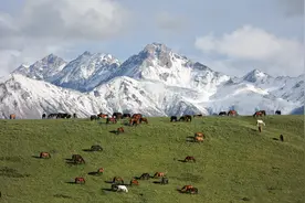千年马场探访记图片