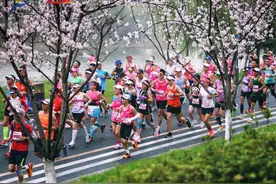 一个名额炒到2200元 马拉松为何“越跑越贵”？图片