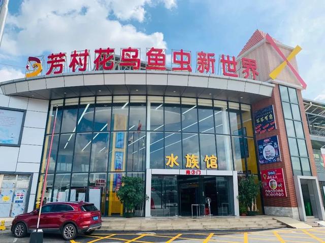 广州卖花胶的地方 2026年广州卖花胶的地方有哪些