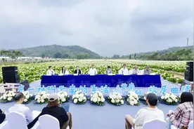 有一种叫云南的生活︱旅居曲靖这样“出圈” 乡村风景十分“有范”图片