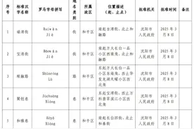 速看！沈阳57条道路命名，涉及市内五个区图片