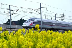 镜观泸州·踏春①丨春色伴列车 江阳区万亩油菜花开图片