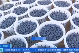 卖到80元每公斤！云南昆明蓝莓大量上市，果品市场生意火爆图片
