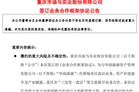 一周内收三份问询函！迎来“金主”的迪马股份能否摆脱退市危机？图片