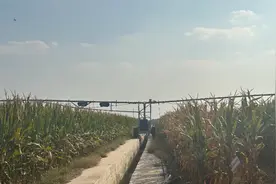 蹲点故事②丨节约成本170万！看智慧种植咋助农户增收图片