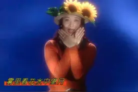 《雾里看花》原来是3·15打假歌，MV那英花6000元买雷电特效图片
