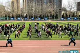 北京石油化工学院工会开展庆祝“三八”国际劳动妇女节系列活动图片