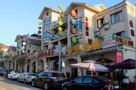 插上“振兴”的翅膀图片