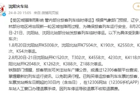 8月20日至21日，沈阳站、沈阳北站部分列车临时停运图片