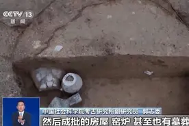6件“回家”文物，为探究中华文明起源提供哪些研究依据？图片