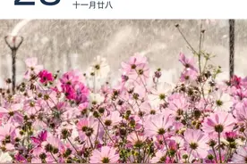 今日开通！湾区“首环”要来了 | 早安广东图片