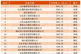 “泰山榜·2024山东企业500强”入围名单公示，临沂19家企业入围图片