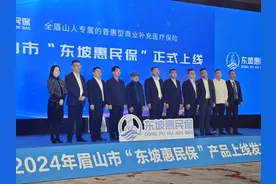 开始投保！四川眉山2024“东坡惠民保”上线！图片