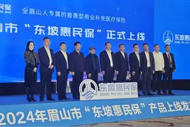 开始投保！四川眉山2024“东坡惠民保”上线！图片