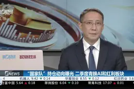 “国家队”持仓动向曝光 二季度青睐AI和红利板块视频封面