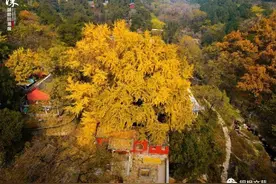 离离暑云散 袅袅凉风起图片