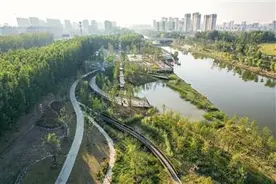 江苏省徐州市沛县：守护生态“底色” 厚植发展“绿色”图片