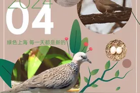 春花烂漫的4月，都有哪些精彩活动→图片
