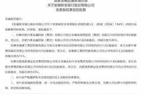 国资首次控股民营银行：新安银行51%股份获地方国资接盘图片