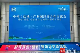 中韩（盐城）产业园经贸合作交流会成功举办图片