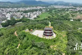 电白沙琅琅西村：以绿为笔妆点乡村精致美｜茂名绿美乡村行②图片