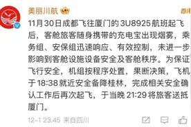 为何充电宝能“上飞机”却不能用？图片