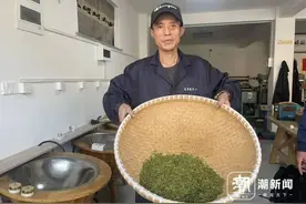 鲜！贵！少！头茬西湖龙井，零星开采图片
