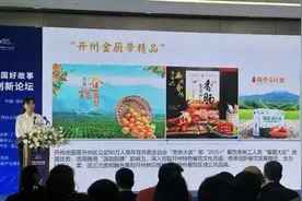 “开州金厨”亮相2024世界品牌莫干山大会图片