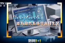 政务系统接入DeepSeek，当把握好三对关系图片