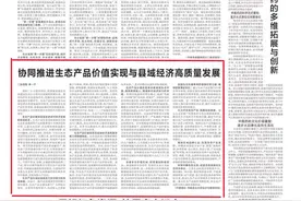 理论随笔｜张海莹 吴一平：协同推进生态产品价值实现与县域经济高质量发展图片