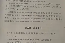 房客称房东代收物业费欺瞒超收遭反诉，法院判了图片