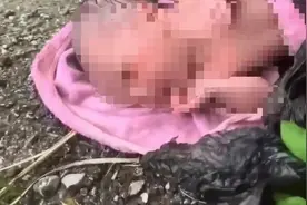 广西一女婴被装塑料袋遗弃草丛！警方回应图片