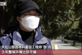北京：不再种植雄性圆柏！花粉高峰期怎么防护？专家建议图片