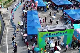 视频｜体验不一样的牛！连山壮族欢庆“牛王诞”图片
