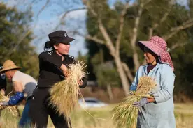 云岭巾帼 | “最美警花阿妹若”  17年后再回社区图片