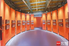 海南周刊丨尖峰岭海南蝴蝶展览馆：洞见“蝴蝶王国”的窗口图片