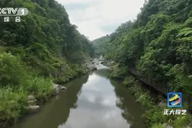 看古诗里的流萤飞舞，喝苏轼爱喝的山兰酒，来海南这个小镇体验古人的浪漫图片